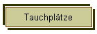 Tauchpltze